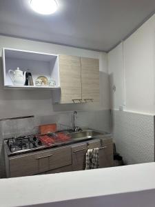 une cuisine avec un évier et une cuisinière four supérieur dans l'établissement Helen House, à Bogotá