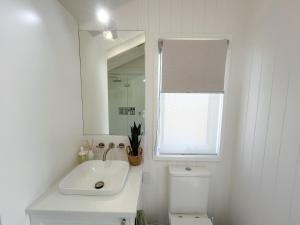 a bathroom with a sink and a toilet and a mirror at Banjos Cabin Gippsland - Luxury Eco Stay w King Bed & Pond Valley Views in Seaton