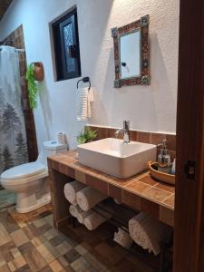 a bathroom with a sink and a toilet and a mirror at Casa Elizabeth en valle de Bravo,Avandaro in Godínez