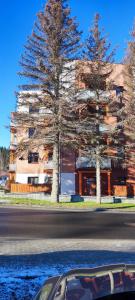 un bâtiment avec deux arbres en bordure de rue dans l'établissement Apartament Słoneczny 11, à Szklarska Poręba
