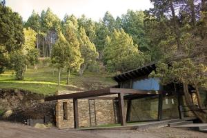 ein Steingebäude mitten in einem Wald in der Unterkunft Casa ZenPine in San Martín de los Andes