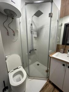a bathroom with a shower and a toilet and a sink at Hotel 78 Cafe in Karakol +30 photos