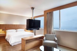 TV a/nebo společenská místnost v ubytování Sheraton Vitoria