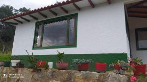 a house with potted plants in front of a window at HOSPEDAJE LA LOMITA, Cabañas in Monguí