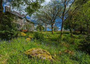 een huis in het midden van een veld met bloemen en bomen bij Wydemeet in Two Bridges