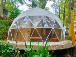 è in costruzione una casa igloo in un giardino di vanderman land camp a Tlekung