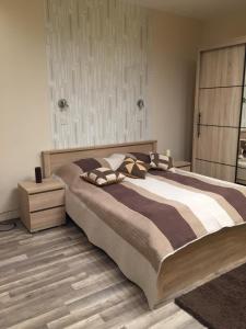 セゲドにあるSolaris-Szeged Apartmanのベッドルーム1室(大型ベッド1台、枕付)