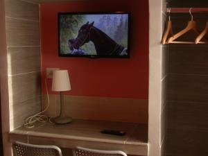TV a/nebo společenská místnost v ubytování Hotel Il Roscio