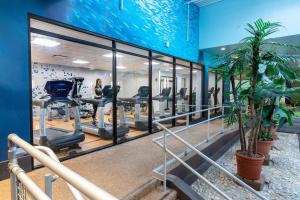 Fitness centrum a/nebo fitness zařízení v ubytování Sheraton Niagara Falls