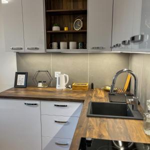 Apartman Krčmar Divcibare في ديفشيبار: مطبخ مع حوض وطاولة عمل