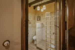 une salle de bain avec WC et douche à l'italienne dans l'établissement Casa Rural De La Anunciada, à Urueña 26 autres photos