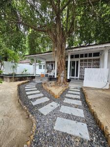 Κήπος έξω από το Villa Otalia