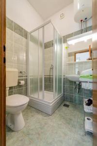 a bathroom with a shower and a toilet and a sink at Apartment Tafra 4 in Lokva Rogoznica