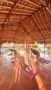Fotografie z fotogalerie ubytování Happy Lemon Tree lodge v destinaci Sauraha