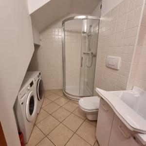 a bathroom with a shower and a toilet and a sink at Skyview Family Lodge in Mezzocorona +21 photos