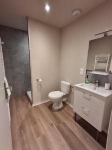a bathroom with a toilet and a sink and a shower at Les Gîtes du Moulin des Loups studios 3 et 6 in Saint-Amand-les-Eaux +1 photo