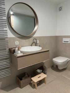 a bathroom with a sink and a mirror and a toilet at Central apartment with garden in Bad Neuenahr-Ahrweiler +5 photos