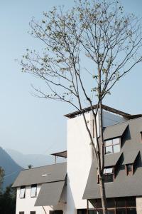Foto sihtkohas Shengping asuva majutusasutuse 马迟迟民宿 galeriist