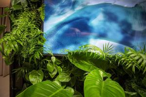 a bunch of green plants in front of a painting at Costa Rica Bibione SPA in Bibione