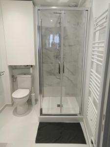 a bathroom with a shower and a toilet at 2P refait à neuf, calme, quartier historique, entre seine et cathédrale in Mantes-la-Jolie