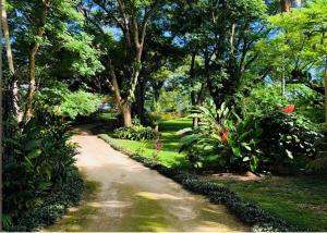 Qualius Lodge is Mele Bays WOW factor and Private Paradise外面的花园