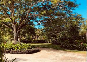 Qualius Lodge is Mele Bays WOW factor and Private Paradise外面的花园