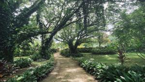 Qualius Lodge is Mele Bays WOW factor and Private Paradise外面的花园