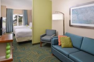 a hotel room with a couch and a bed at SpringHill Suites by Marriott Charleston Riverview in Charleston +39 photos