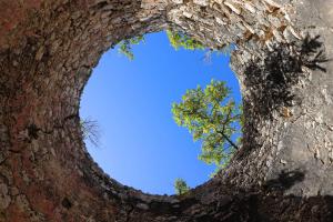 Billede fra billedgalleriet på Villa Gligli i Saint-Louis