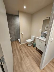 a bathroom with a toilet and a sink at Les Gîtes du Moulin des Loups in Saint-Amand-les-Eaux