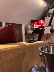TV a/nebo společenská místnost v ubytování L'Atelier - Logis d'artiste - Centre historique
