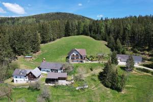 an aerial view of a house on a green hill at Haus Wildblick in Fladnitz an der Teichalm