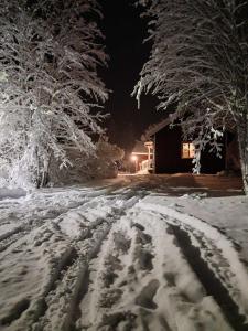 une route recouverte de neige la nuit avec des arbres dans l'établissement Vinterhus nära Romme Alpin, à Borlänge