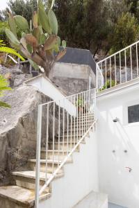 Fotografia z galérie ubytovania SorrentoVibes - Seaview Home on the beach & amazing views terrace v Sorrente
