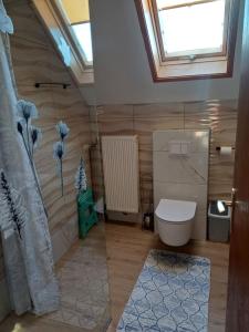 a bathroom with a toilet and a window at Apartments Renata in Smoljanac +76 photos