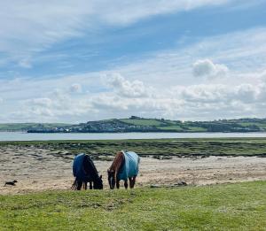 Galeriebild der Unterkunft Beautiful bideford bay holiday vans 8 berth 3 bedrooms in Bucks Mills + 40 Fotos