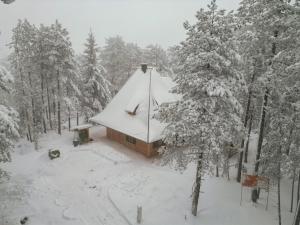 Apartman Crni bor 2 Tara talvel