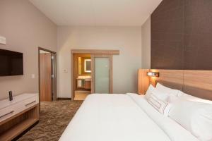Postel nebo postele na pokoji v ubytování Springhill Suites By Marriott Athens Downtown/University Area