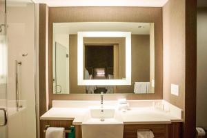 Koupelna v ubytování Springhill Suites By Marriott Athens Downtown/University Area