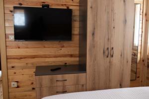 Televiisor ja/või meelelahutuskeskus majutusasutuses Apartman Crni bor 2 Tara