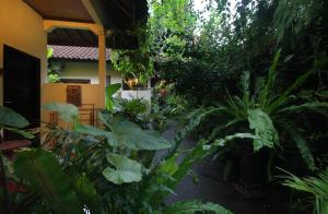 Garður fyrir utan Sari Gong Guest House, A Trishula Collection
