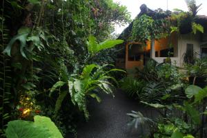 Garður fyrir utan Sari Gong Guest House, A Trishula Collection