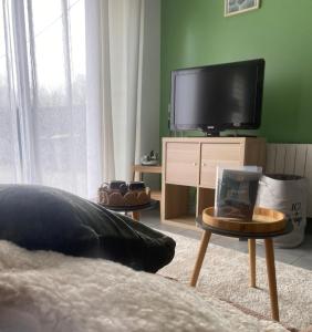 Televízia a/alebo spoločenská miestnosť v ubytovaní Chez Juline - Gîte Nature et Bien-être