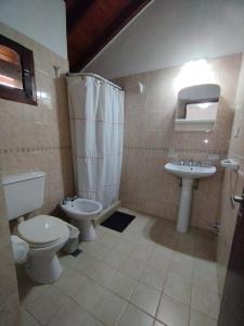 ミナ・クラベロにあるHostería Tejas Negrasのトイレと洗面台付きのバスルーム