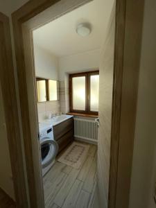 een badkamer met toilet en wastafel bij Bellaria Apartment Mountain View in Predazzo +12 foto's