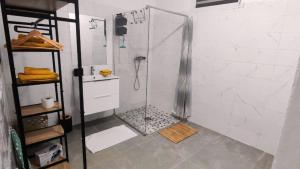 um chuveiro com porta de vidro em um banheiro em La Fleur Doré Studio em Le Vauclin