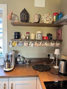 Fotografie z fotogalerie ubytování Robin Lodge v destinaci Renvyle