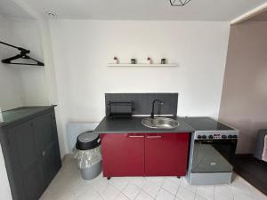 cocina con fregadero y armario rojo en Studio indépendant, en Saint-Éloi 6 fotos más