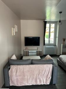 Una sala de estar con un sofá y un televisor de pantalla plana. en Studio indépendant, en Saint-Éloi