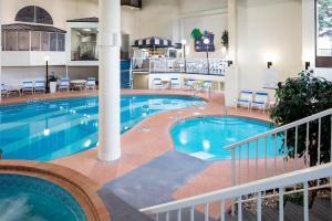 Bazén v ubytování Sheraton Cavalier Calgary Hotel nebo v jeho okolí